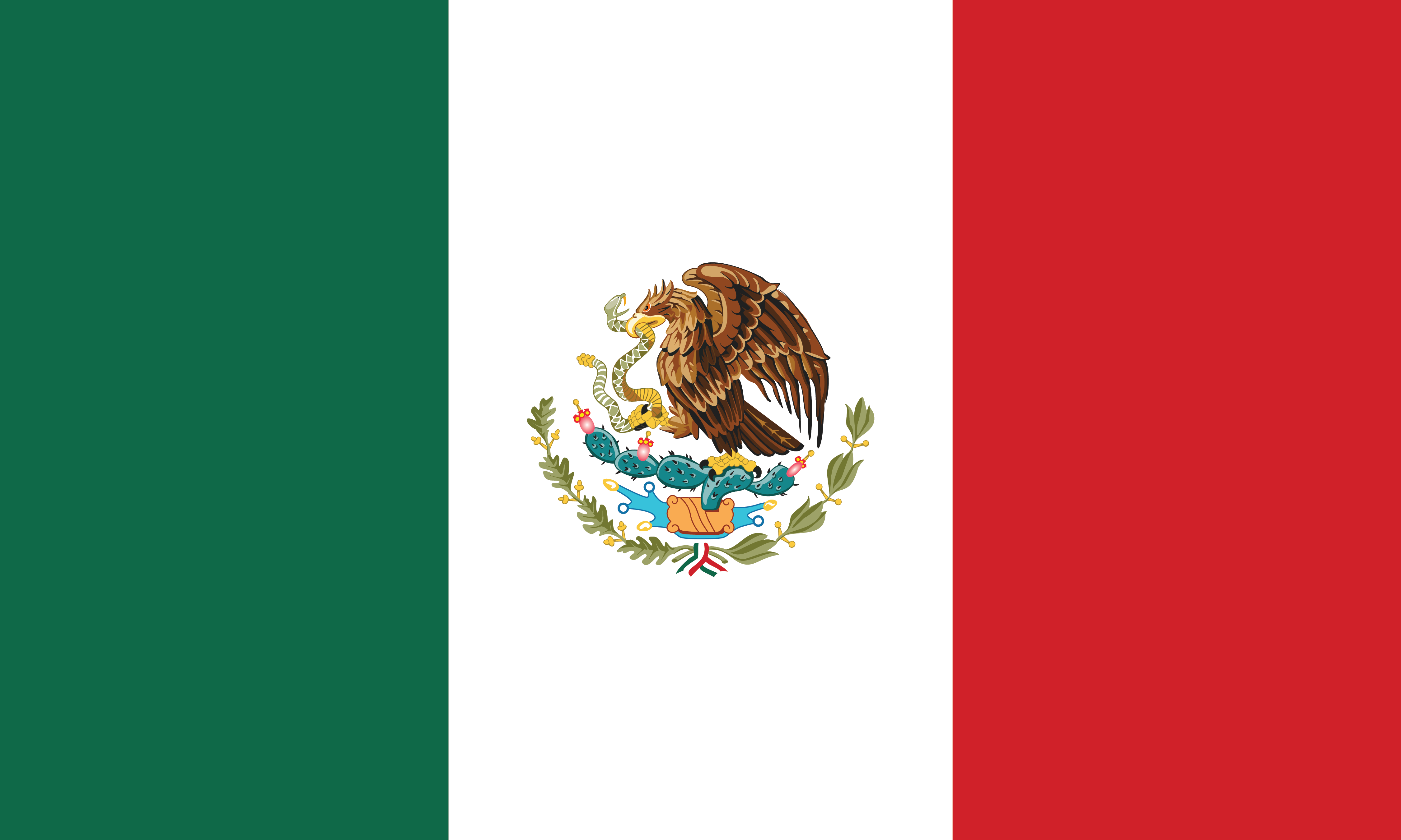 Mexico Football Fan Flag | World Cup Supporter Banner