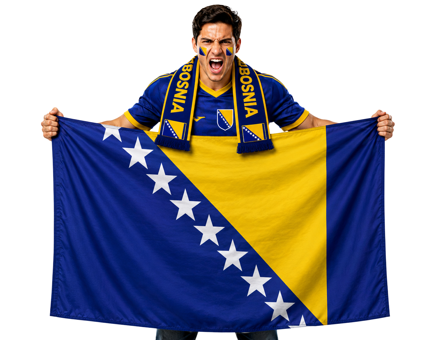 Bosnia and Herzegovina Zmajevi football fan flag banner